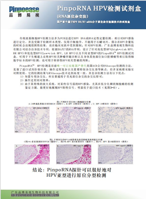 HPV