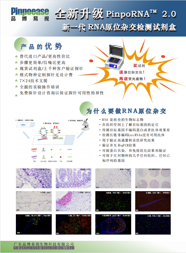 General brochure